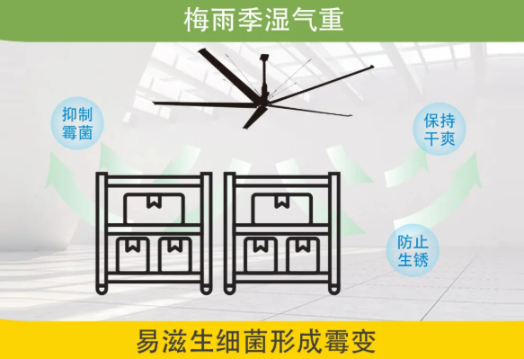  梅雨季防潮 | 大王通风HVLS解决方案